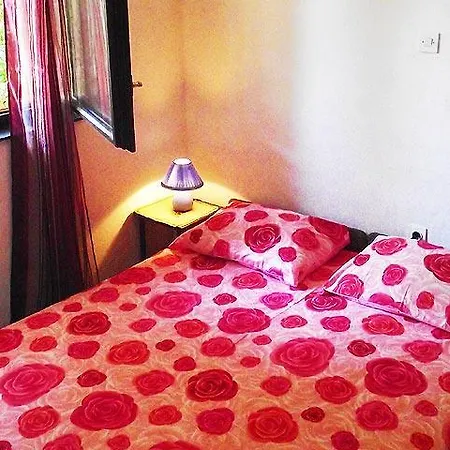 Apartman Island
